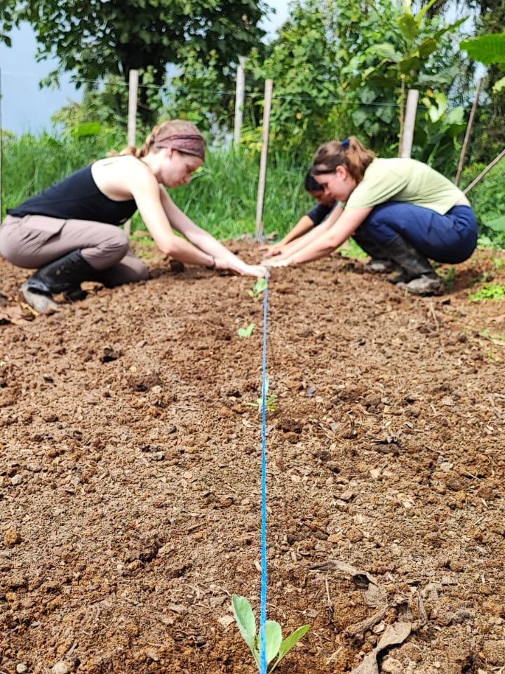Two people measuring in the dirt